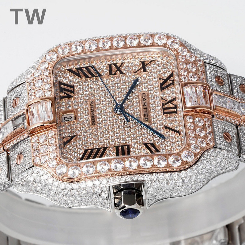 c-a-t-i-e-r watches