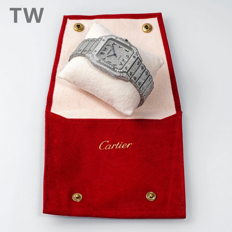c-a-t-i-e-r watches