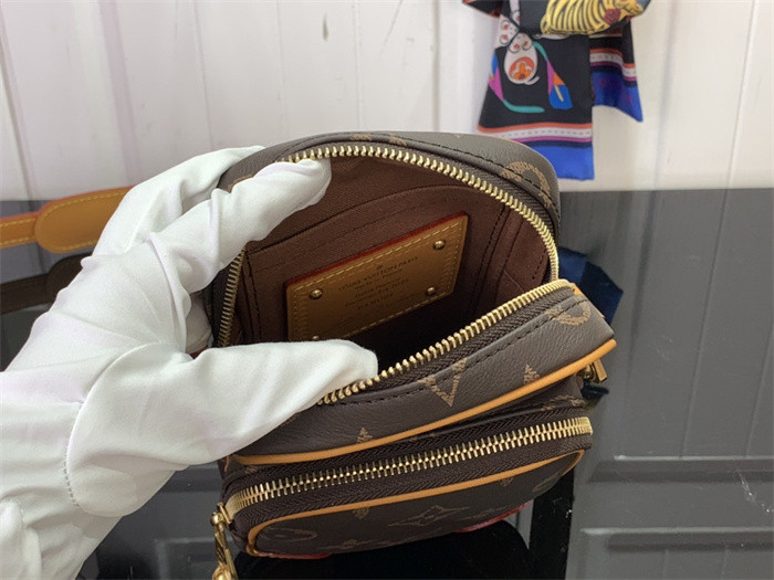 LV AMAZONE Bag