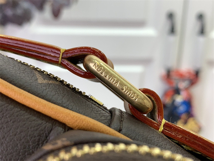 LV AMAZONE Bag